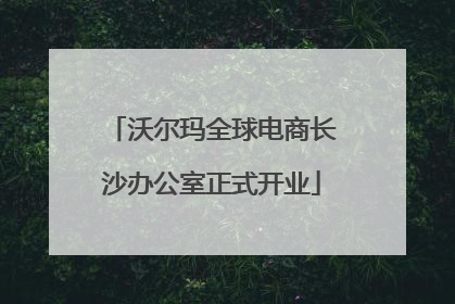 沃尔玛全球电商长沙办公室正式开业