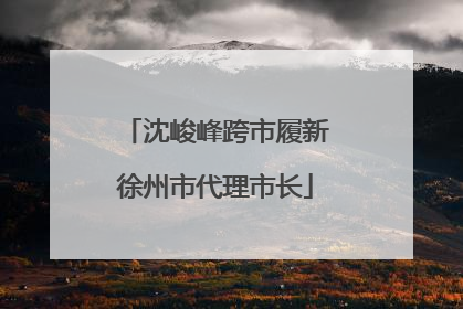 沈峻峰跨市履新徐州市代理市长