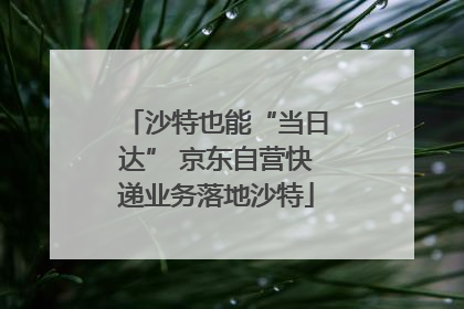 沙特也能“当日达” 京东自营快递业务落地沙特
