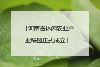 河南省休闲农业产业联盟正式成立