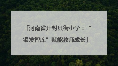 河南省开封县街小学：“银发智库”赋能教师成长