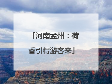 河南孟州：荷香引得游客来