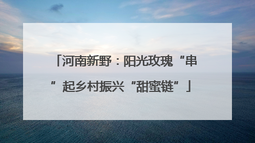 河南新野：阳光玫瑰“串”起乡村振兴“甜蜜链”