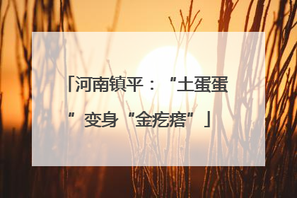 河南镇平：“土蛋蛋”变身“金疙瘩”