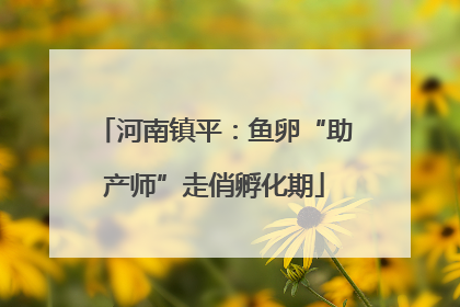 河南镇平：鱼卵“助产师”走俏孵化期