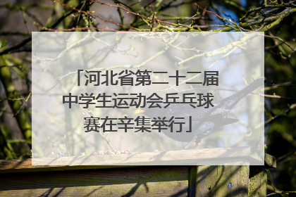 河北省第二十二届中学生运动会乒乓球赛在辛集举行
