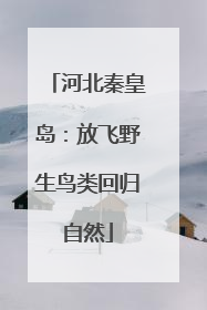 河北秦皇岛：放飞野生鸟类回归自然