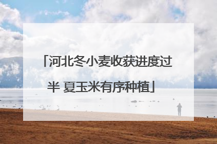 河北冬小麦收获进度过半 夏玉米有序种植