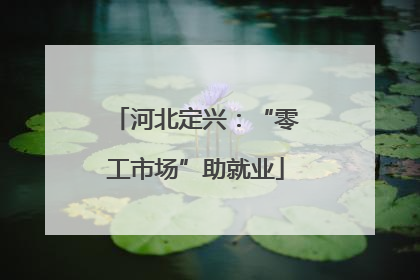 河北定兴：“零工市场”助就业