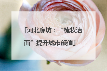河北廊坊：“梳妆洁面”提升城市颜值
