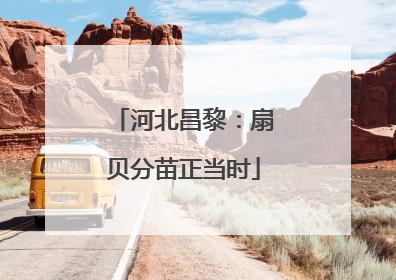 河北昌黎：扇贝分苗正当时