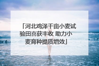 河北鸡泽千亩小麦试验田喜获丰收 助力小麦育种提质增效
