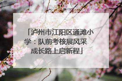 泸州市江阳区通滩小学：队前考核展风采 成长路上启新程