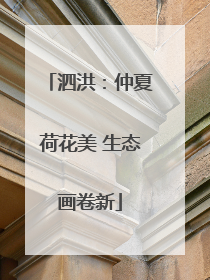泗洪：仲夏荷花美 生态画卷新