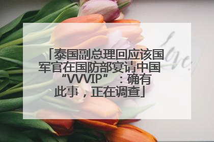 泰国副总理回应该国军官在国防部宴请中国“VVVIP”：确有此事，正在调查