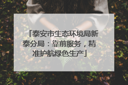 泰安市生态环境局新泰分局：靠前服务，精准护航绿色生产