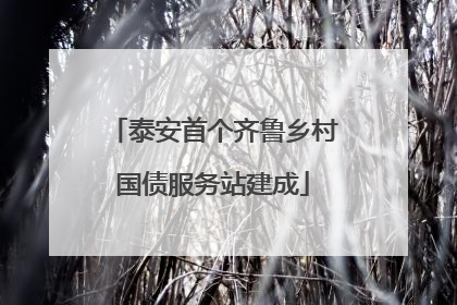 泰安首个齐鲁乡村国债服务站建成