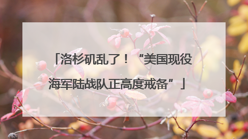 洛杉矶乱了！“美国现役海军陆战队正高度戒备”