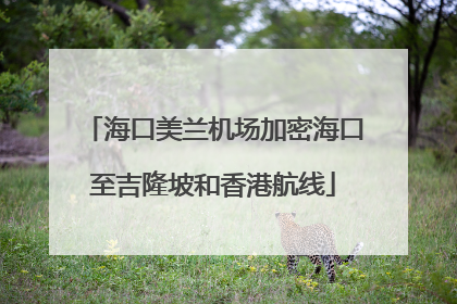 海口美兰机场加密海口至吉隆坡和香港航线