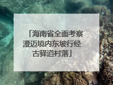 海南省全面考察澄迈境内东坡行经古驿道村落