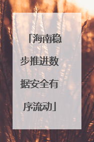 海南稳步推进数据安全有序流动