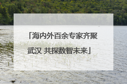 海内外百余专家齐聚武汉 共探数智未来