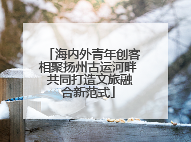 海内外青年创客相聚扬州古运河畔 共同打造文旅融合新范式