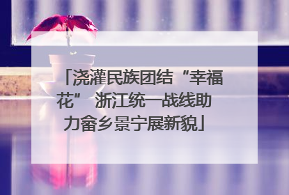 浇灌民族团结“幸福花” 浙江统一战线助力畲乡景宁展新貌