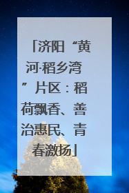 济阳“黄河·稻乡湾”片区：稻荷飘香、善治惠民、青春激扬