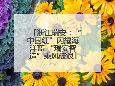 浙江瑞安：“中国红”闪耀海洋蓝 “瑞安智造”乘风破浪