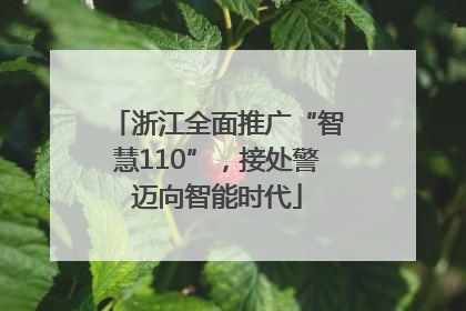 浙江全面推广“智慧110”，接处警迈向智能时代