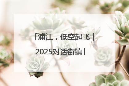 浦江，低空起飞｜2025对话街镇
