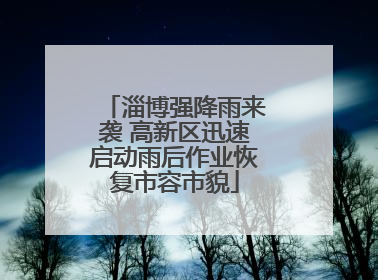 淄博强降雨来袭 高新区迅速启动雨后作业恢复市容市貌