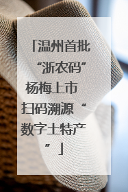 温州首批“浙农码”杨梅上市 扫码溯源“数字土特产”