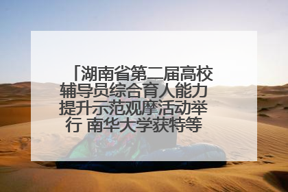 湖南省第二届高校辅导员综合育人能力提升示范观摩活动举行 南华大学获特等奖和一等奖