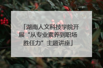 湖南人文科技学院开展“从专业素养到职场胜任力”主题讲座