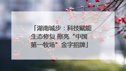 湖南城步：科技赋能生态修复 擦亮“中国第一牧场”金字招牌