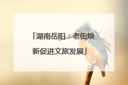 湖南岳阳：老街焕新促进文旅发展