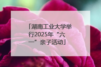 湖南工业大学举行2025年“六一”亲子活动