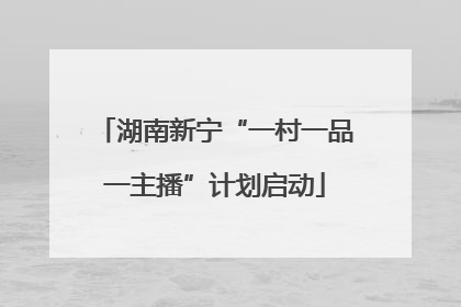 湖南新宁“一村一品一主播”计划启动
