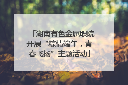 湖南有色金属职院开展“粽情端午，青春飞扬”主题活动