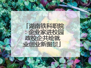 湖南铁科职院：企业家进校园 政校企共绘就业创业新图景