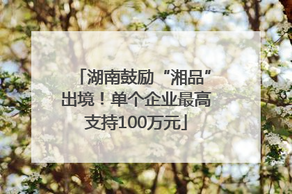 湖南鼓励“湘品”出境！单个企业最高支持100万元