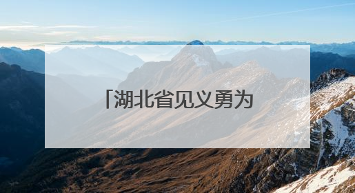湖北省见义勇为先进陈伟：逆火而行伸援手，平凡之躯亦英雄