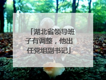 湖北省领导班子有调整，他出任党组副书记