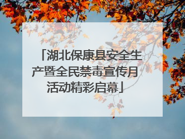 湖北保康县安全生产暨全民禁毒宣传月活动精彩启幕