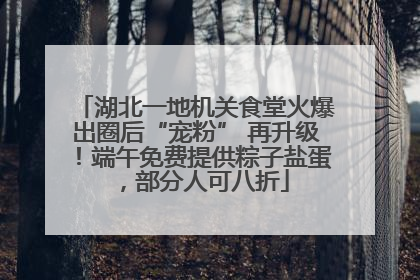 湖北一地机关食堂火爆出圈后“宠粉” 再升级！端午免费提供粽子盐蛋，部分人可八折