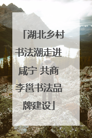 湖北乡村书法潮走进咸宁 共商李邕书法品牌建设