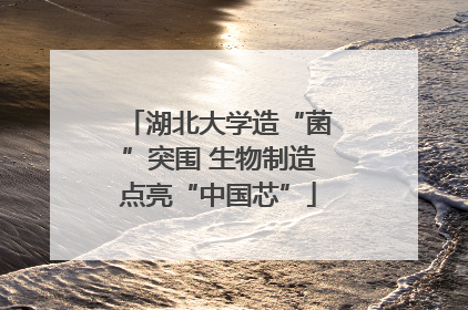 湖北大学造“菌”突围 生物制造点亮“中国芯”