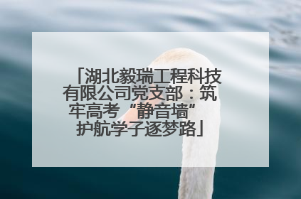 湖北毅瑞工程科技有限公司党支部：筑牢高考“静音墙” 护航学子逐梦路